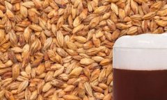 面包中的麦芽到底是一种怎样的存在？