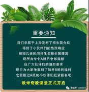 <b>再不行动，梦想真的会遥不可及</b>