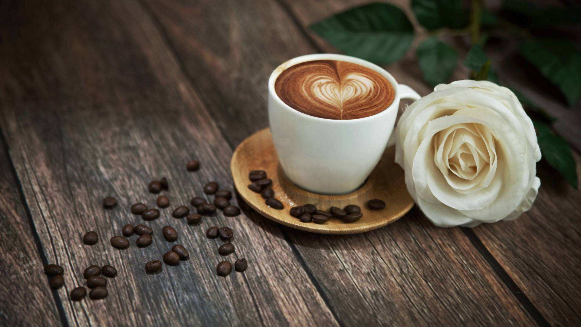 沈阳咖啡师培训咖啡知识之萃取变数