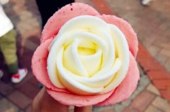 <b>法式甜品学习好吃到必须转圈圈的巴黎甜点</b>