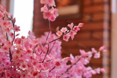 <b>西点烘焙学习学做翻糖前，你得先知道这些</b>