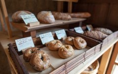 <b>小欧支招教你如何成功开一家烘焙蛋糕店？</b>